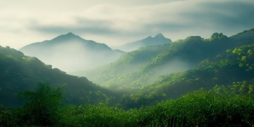 莫干山还有什么景点吗？