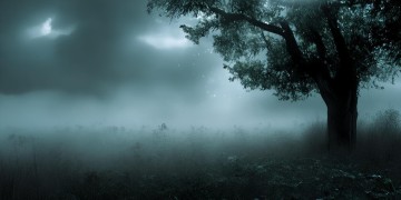错过的人还用等吗？这首歌背后藏着怎样的情感密码？