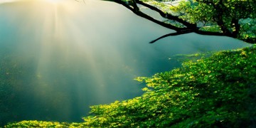 江门落羽杉美景何处寻？哪里才是最佳游玩地？