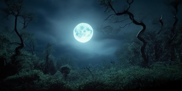 你是金牛座是什么歌？探索星座与音乐的奇妙关联