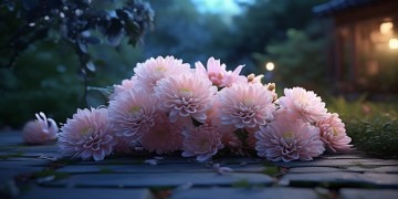 给男友送中华花合适吗？
