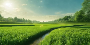 江苏农田究竟哪里藏着最动人的田园乐趣？