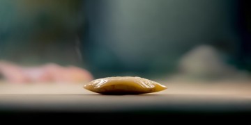 豆包ai真的好用吗？一次真实测评告诉你答案