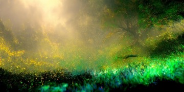 杨紫唱黄子韬的哪首歌会惊艳众人？