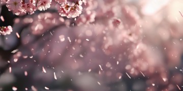 回眸是你阵阵桃花雨是什么歌？