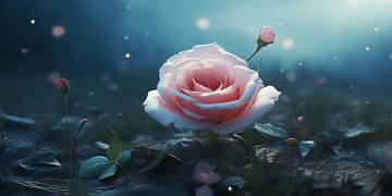 送给去世的女友，哪首歌能寄托无尽的思念？