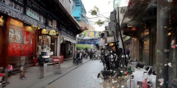 我单身我作主是什么歌？这首歌为何能引发共鸣？