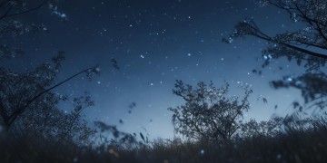 晚风心里吹是哪部电影的歌？