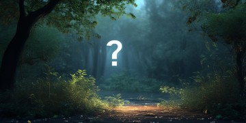 文心一言问答会被看吗？