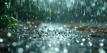 风离去雨里来是什么歌？