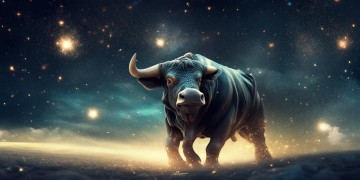 什么星座最宠金牛男友？深度解析星座间的宠爱密码
