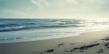 带你去海边报警？这究竟是哪首神秘歌曲的歌词？