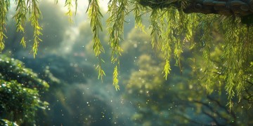 柳州万科用的是哪家物业公司？