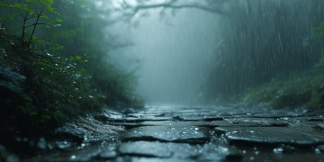 烟雨苍苍究竟是哪首歌的旋律？