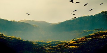 绕着飞坐在地南山什么歌？
