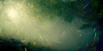 多年以后我还能不能活着是什么歌的探寻