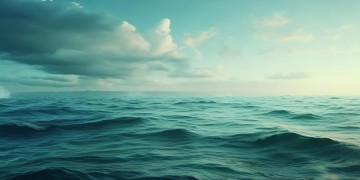 海天股票还会再跌吗？