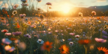 爱在心中难以忘记,那首萦绕心头的旋律究竟是哪首歌?