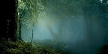 文心一言AI写的小说会被检测出来吗？