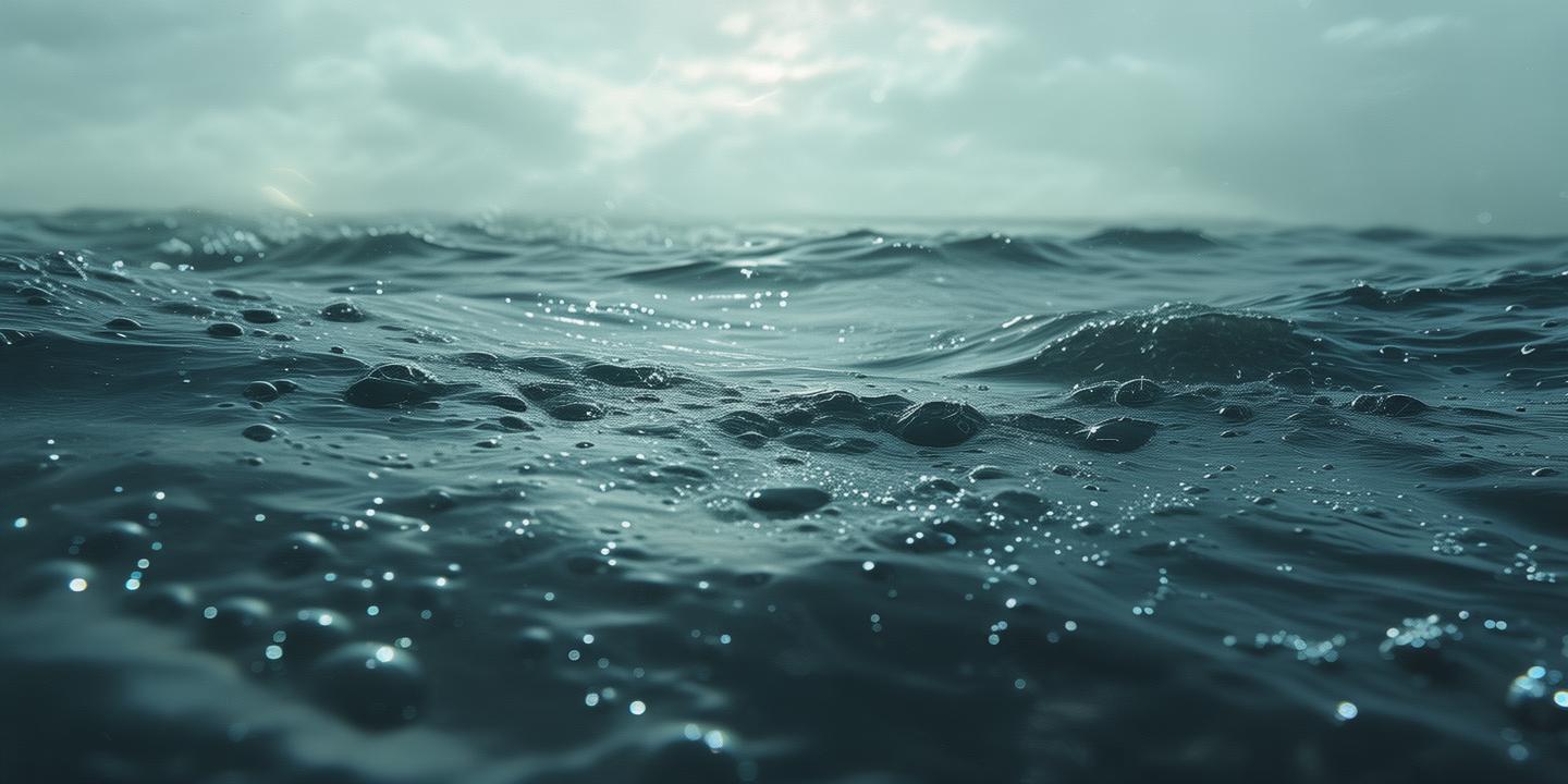 你的泪沾湿的大海是什么歌？